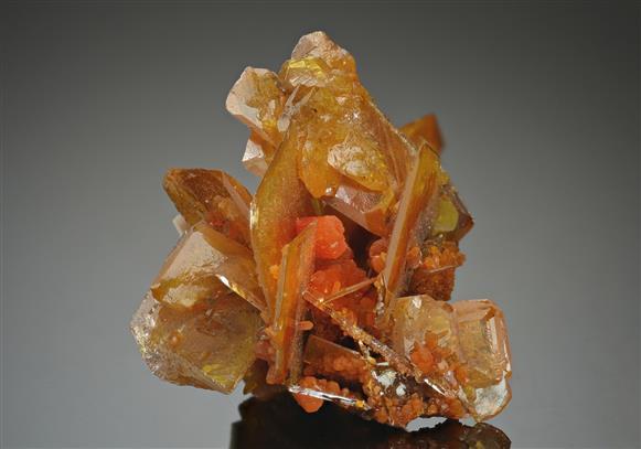 CC17552 specimen image