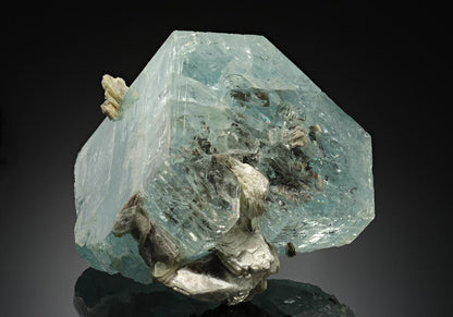 CC17572 specimen image