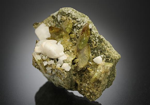 CC17573 specimen image