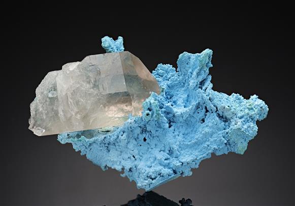 CC17580 specimen image