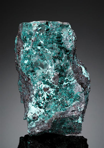 CC17603 specimen image
