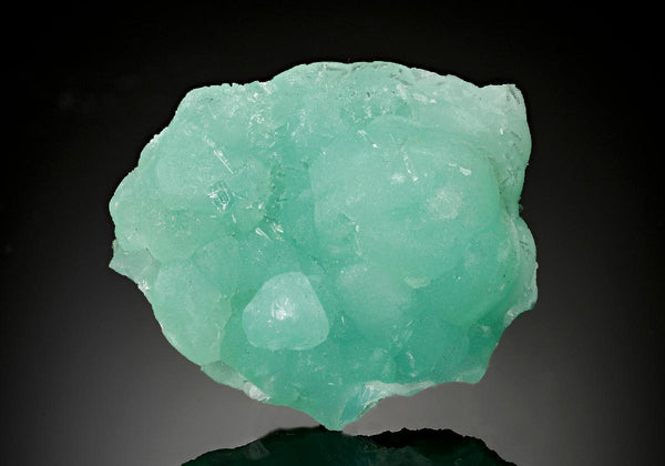 CC17650 specimen image