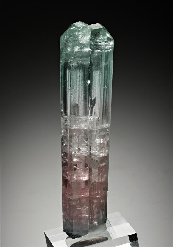 CC17651 specimen image