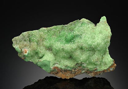CC17653 specimen image