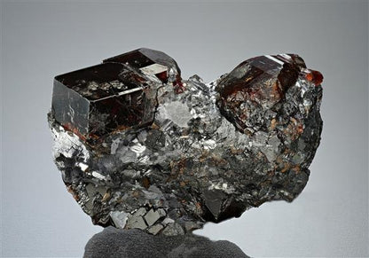 CC17658 specimen image
