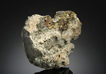 CC17660 specimen image