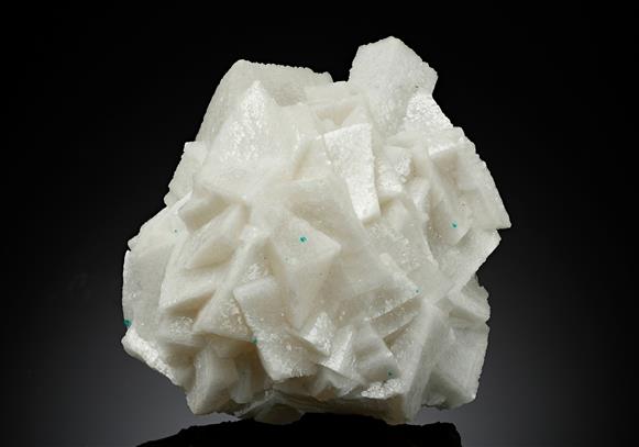 CC17665 specimen image