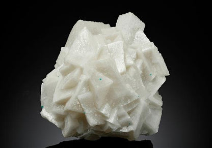 CC17665 specimen image