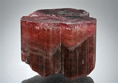 CC17666 specimen image