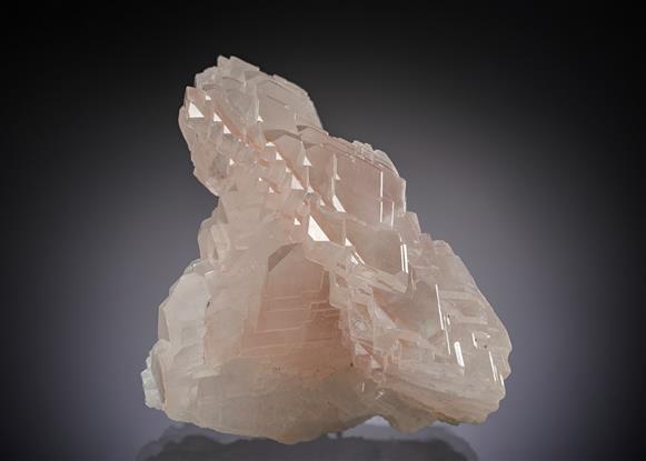 CC17672 specimen image