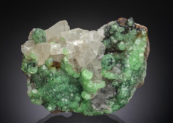 CC17680 specimen image