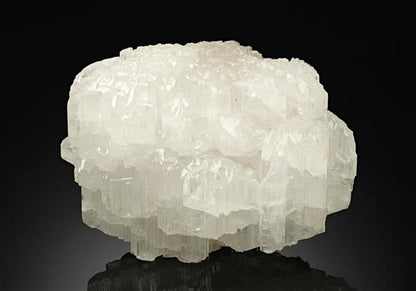 CC17681 specimen image