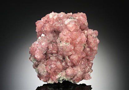CC17686 specimen image