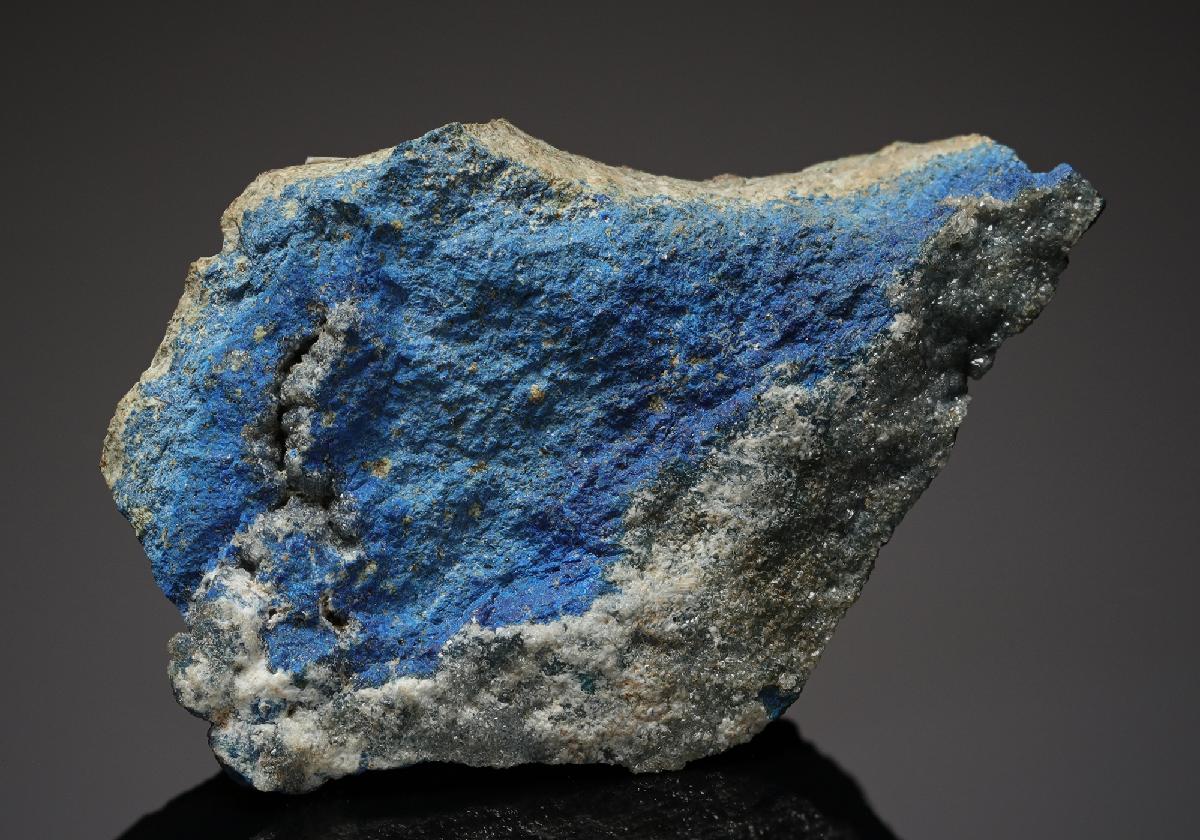CC17698 specimen image