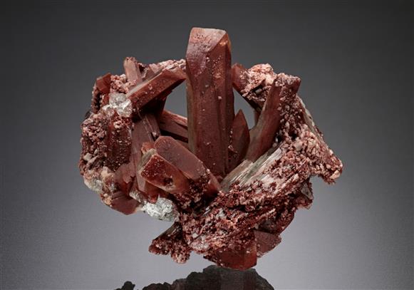 CC17735 specimen image