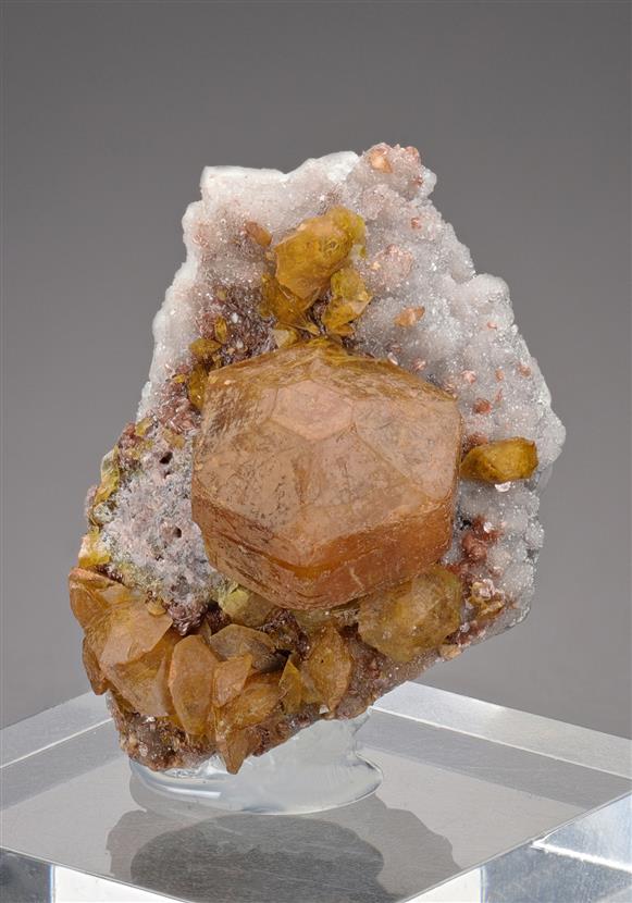 CC17753 specimen image