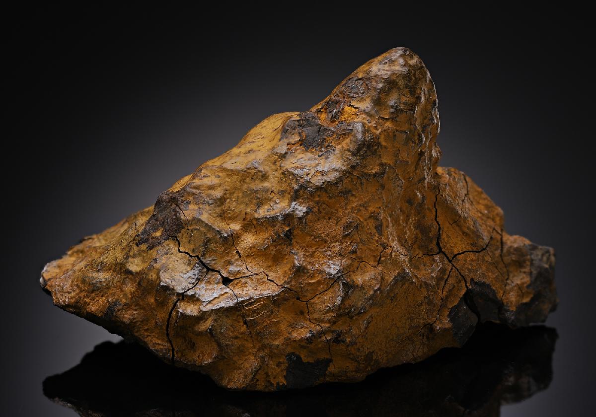 CC17765 specimen image