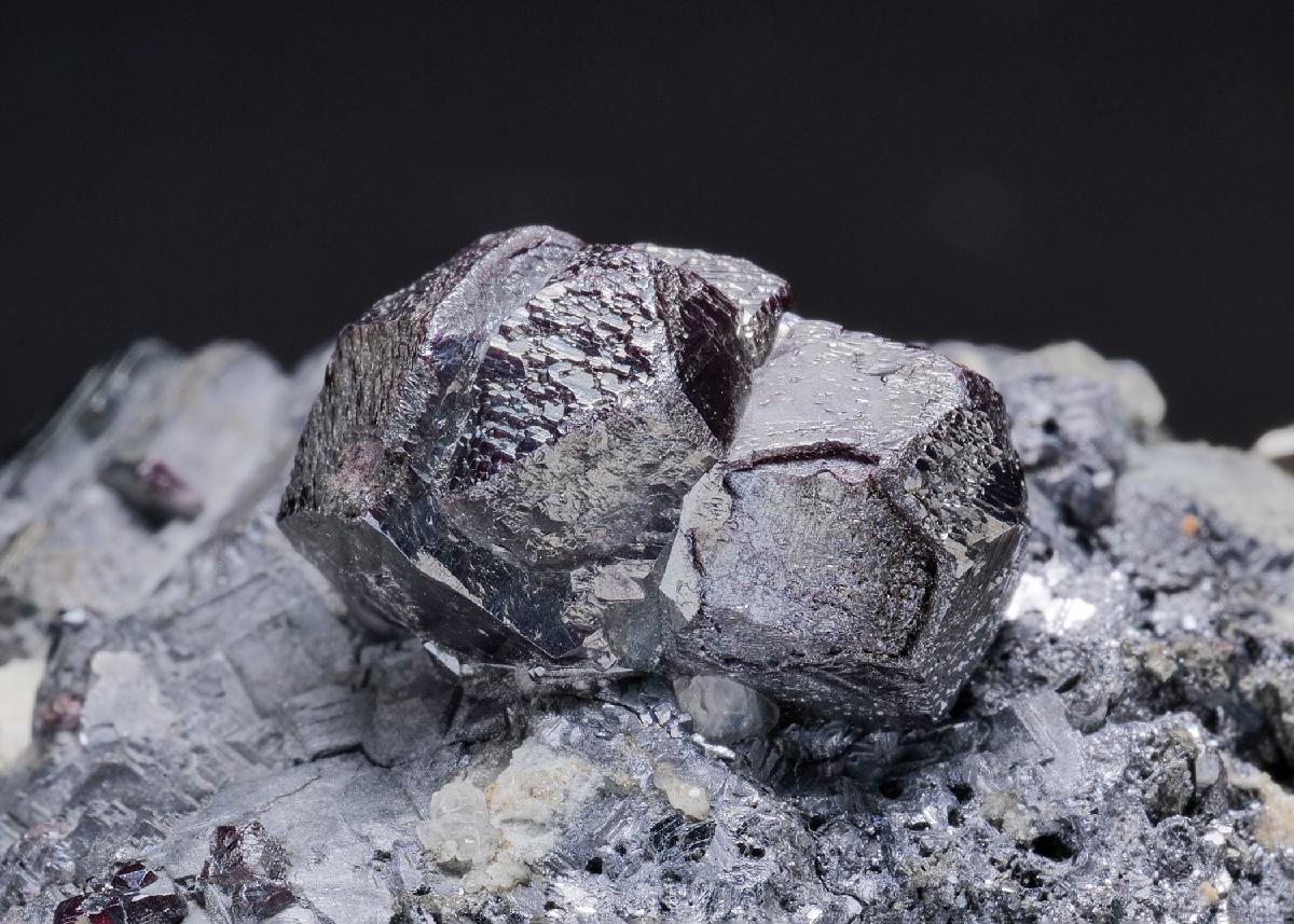 CC17766 specimen image