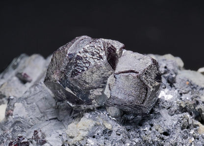 CC17766 specimen image