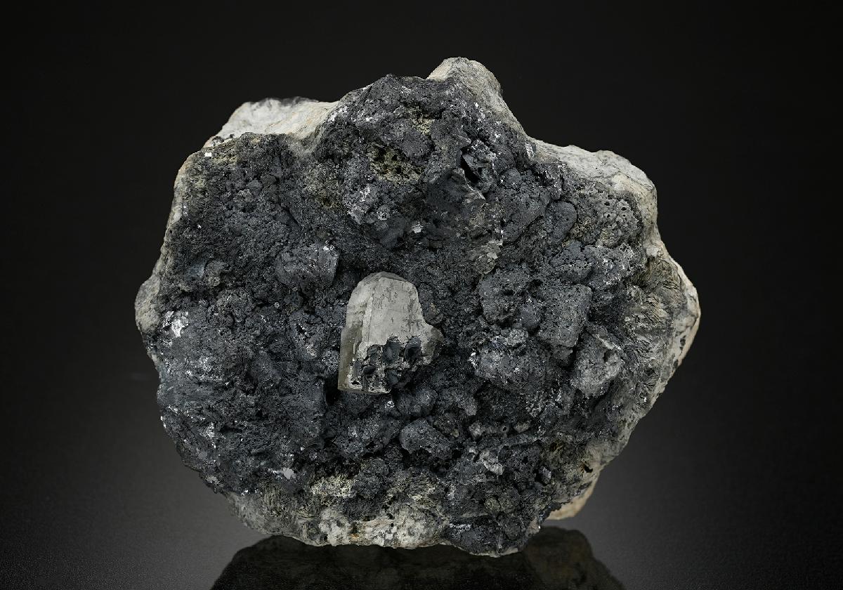 CC17771 specimen image