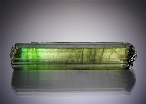 CC17815 specimen image