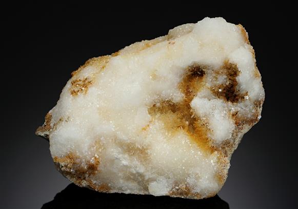 CC17819 specimen image