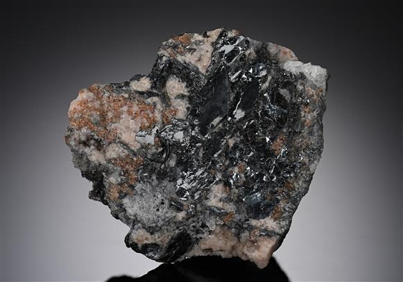 CC17824 specimen image