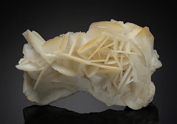 CC17851 specimen image