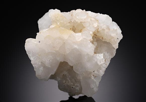 CC17855 specimen image