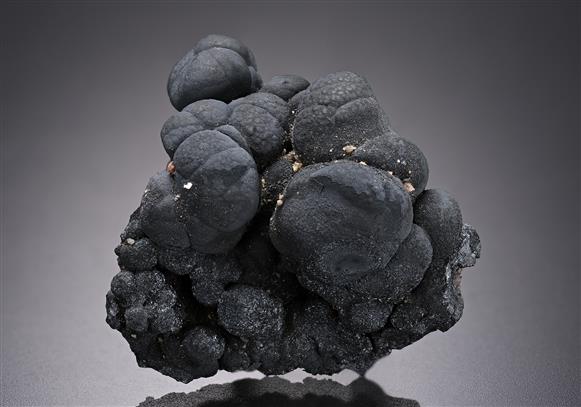 CC17864 specimen image