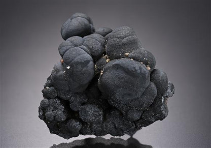 CC17864 specimen image