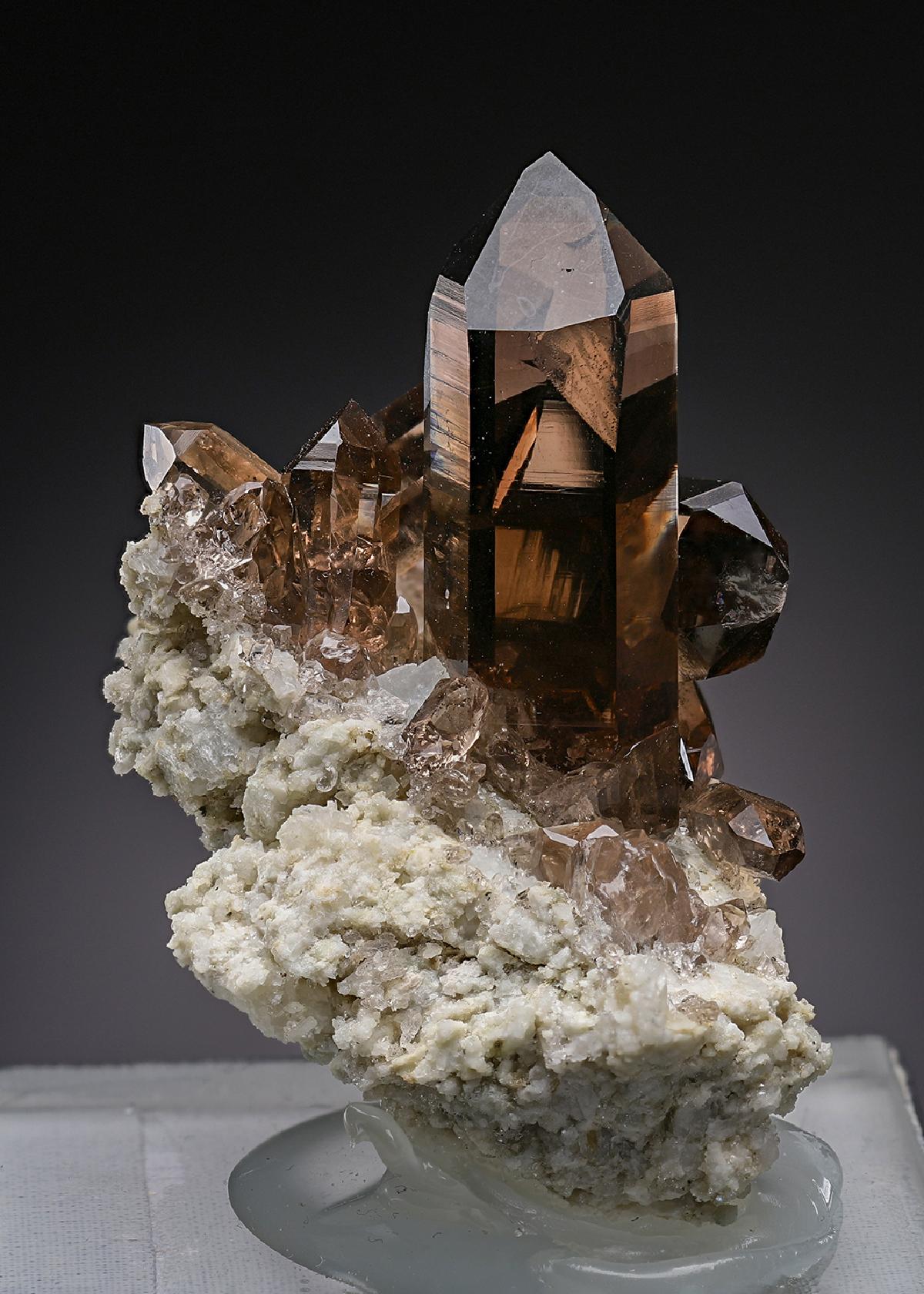 CC17892 specimen image