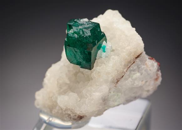 CC17906 specimen image