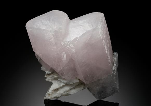CC17918 specimen image