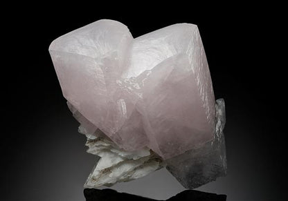 CC17918 specimen image