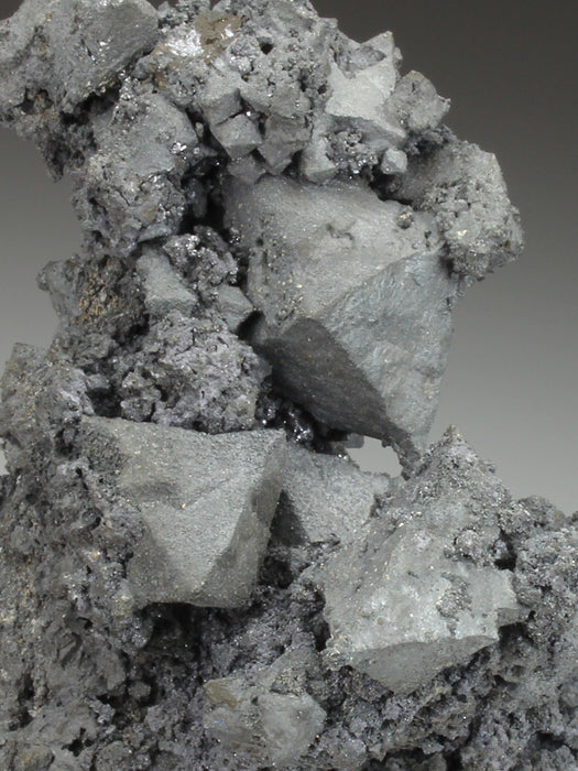 CC1791 specimen image