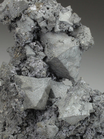 CC1791 specimen image