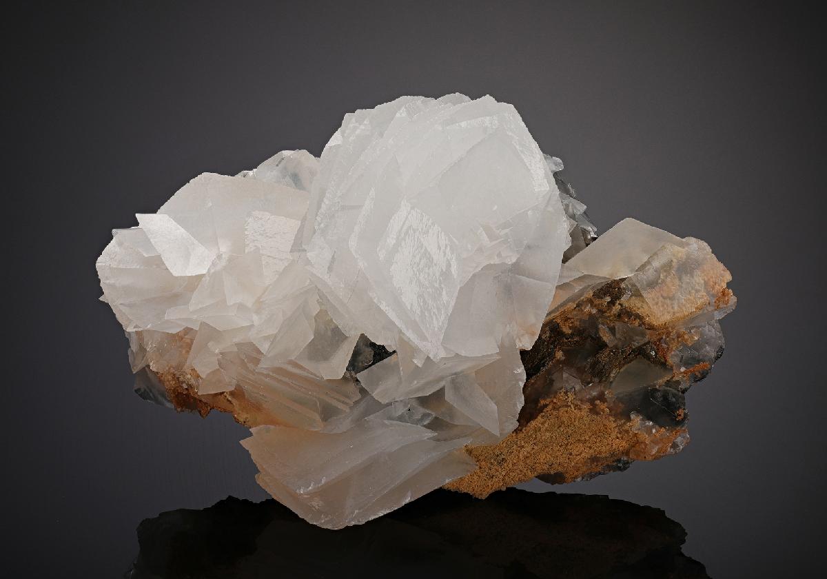 CC17920 specimen image