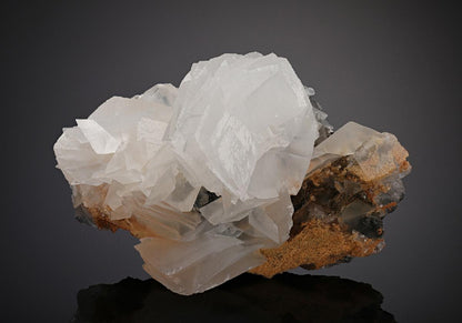 CC17920 specimen image