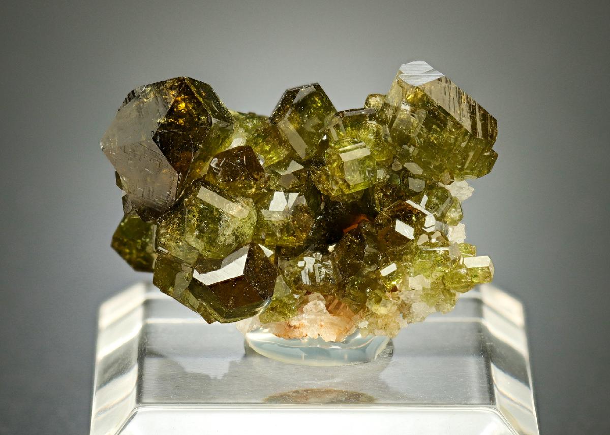 CC17942 specimen image