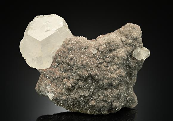 CC17987 specimen image
