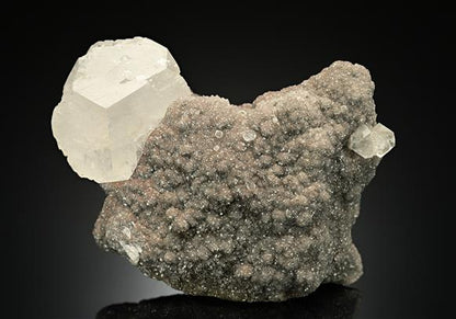 CC17987 specimen image