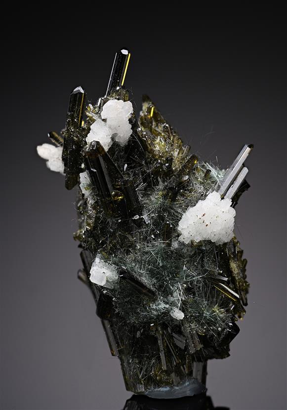 CC17999 specimen image