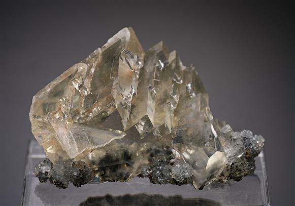 CC18046 specimen image