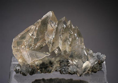 CC18046 specimen image