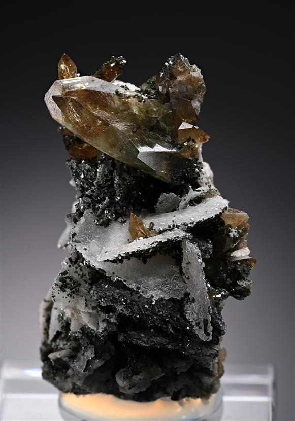 CC18089 specimen image