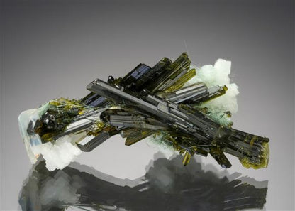 CC18090 specimen image