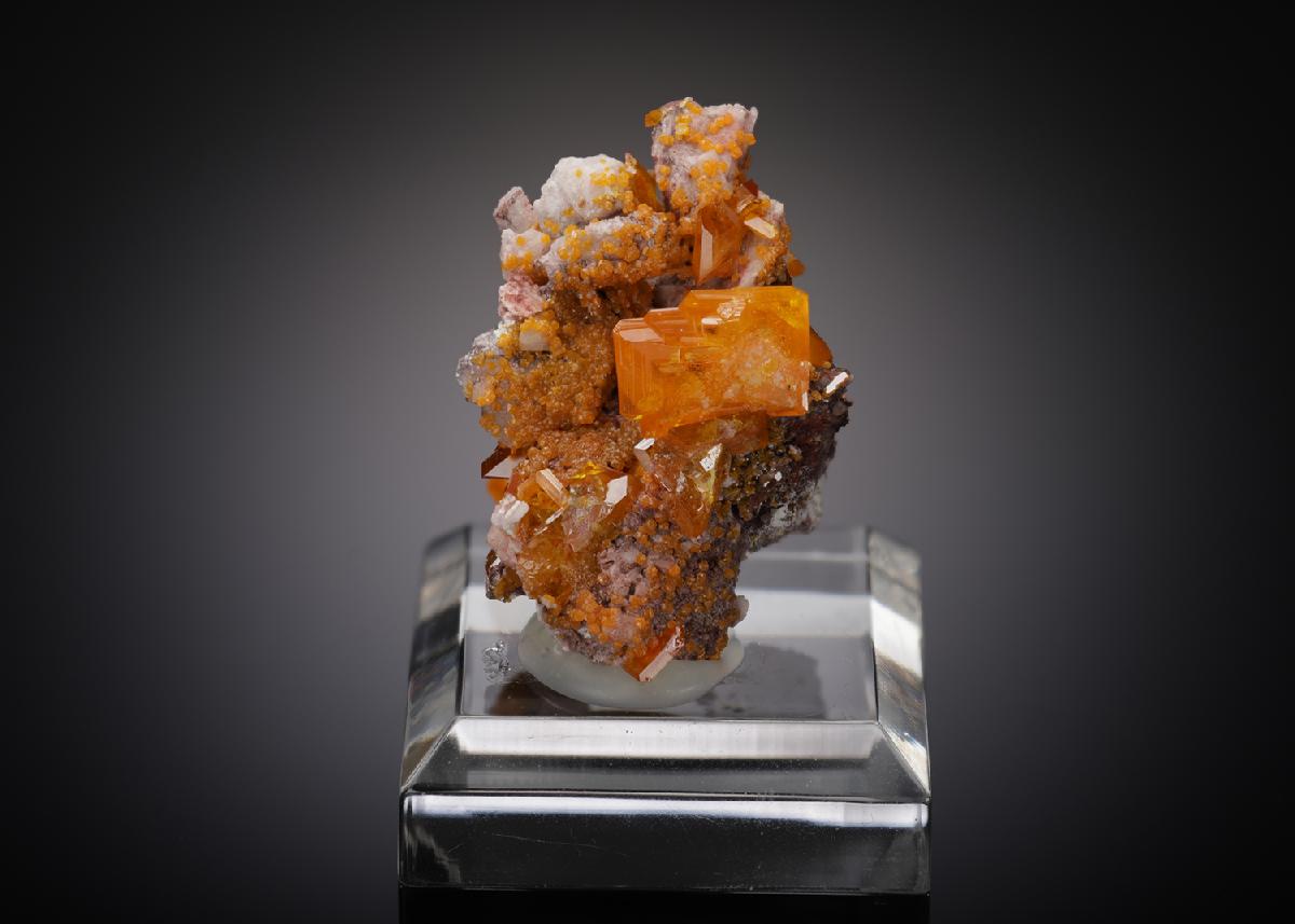 CC18093 specimen image