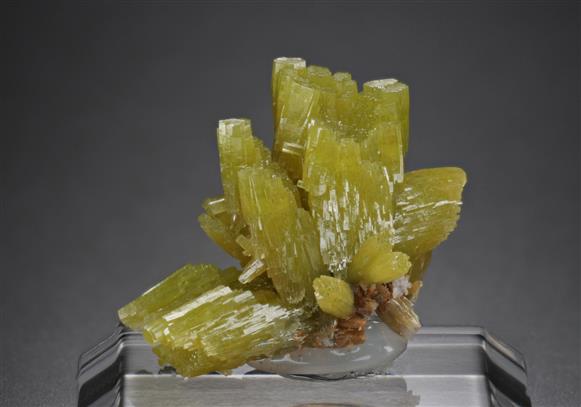 CC18105 specimen image
