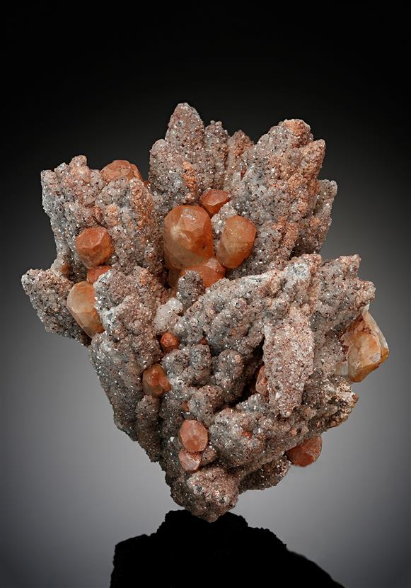 CC18145 specimen image